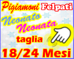 - 24 MESI