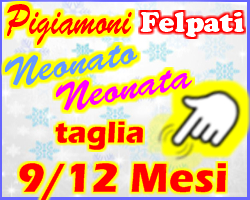 - 12 MESI